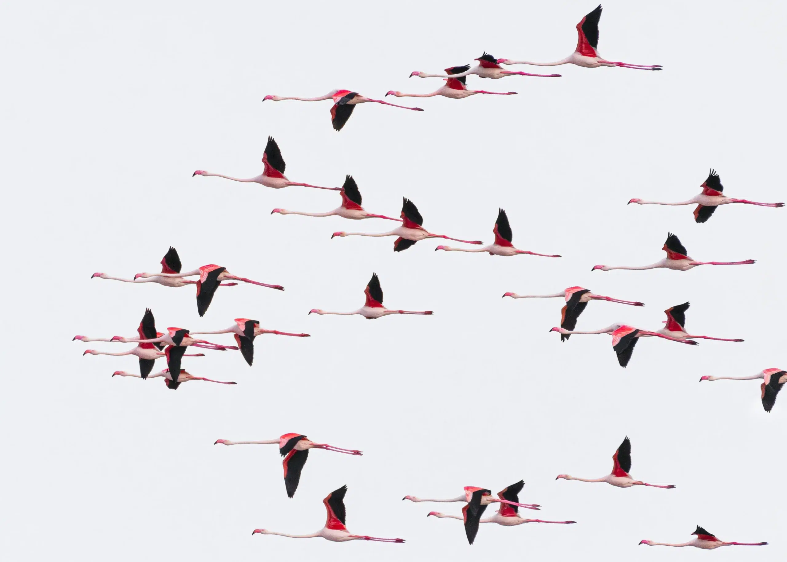 Is Discover Your World for You?